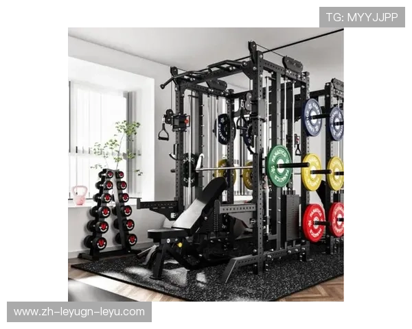 高端会所进口商用健身设备集成方案与案例研究